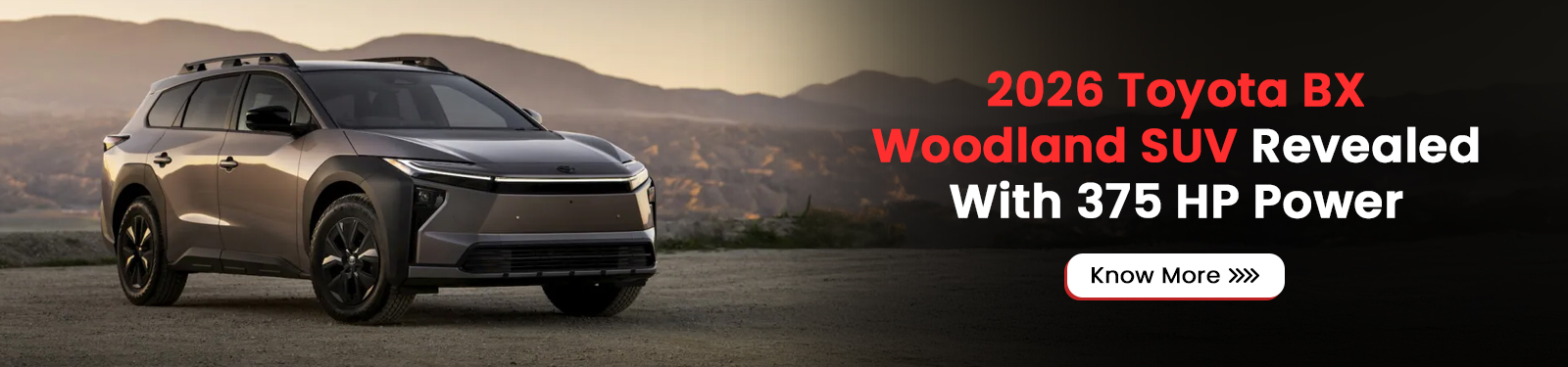 2026 Toyota BX Woodland SUV Revealed With 375 HP