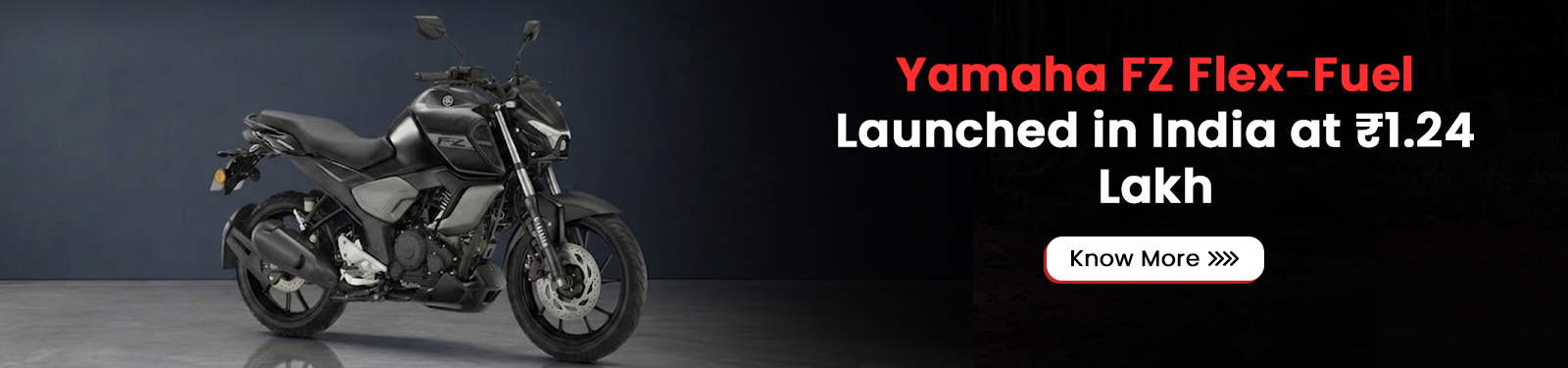 Yamaha FZ Flex-Fuel Debuts in India at ₹1.24 Lakh Starting Price