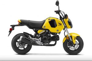 grom autonexa